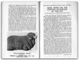 1938 Page 84 85